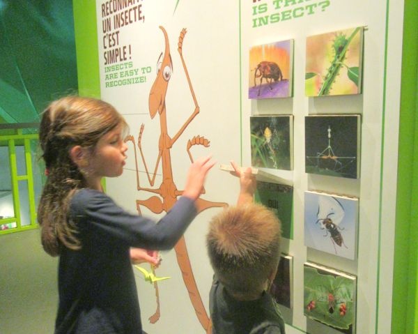insectarium montreal